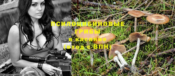 экстази Богданович