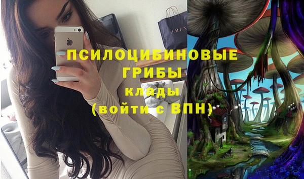 таблы Аркадак