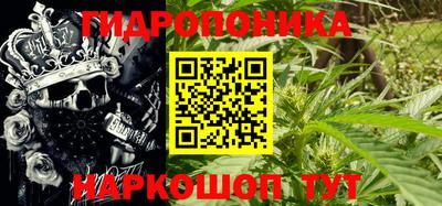 spice Рузаевка