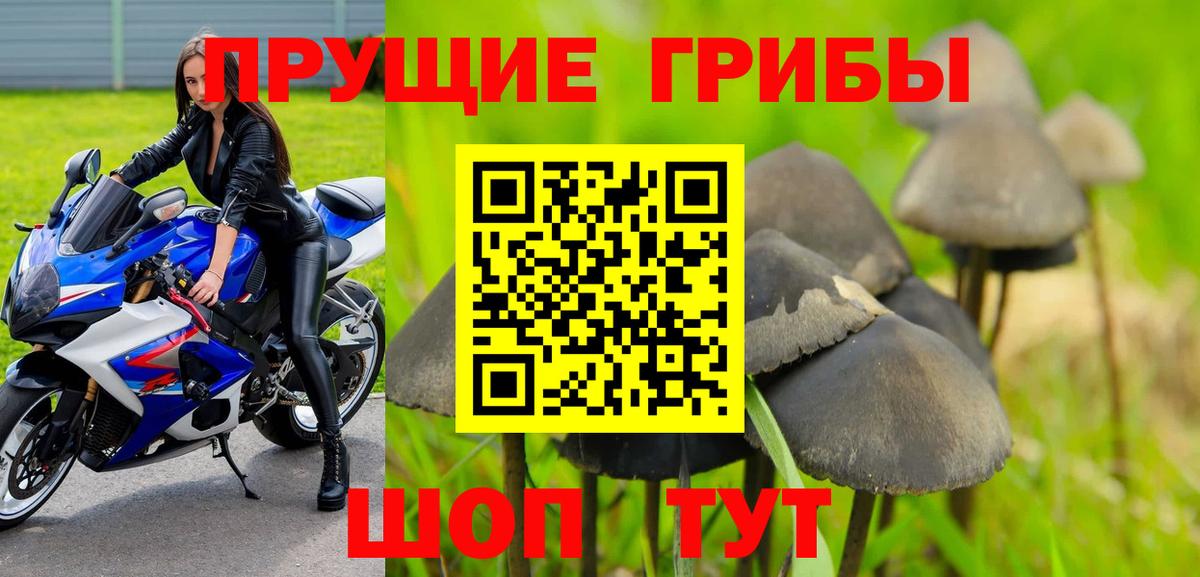 Псилоцибиновые грибы ЛСД  Вход с VPN  Сургут 